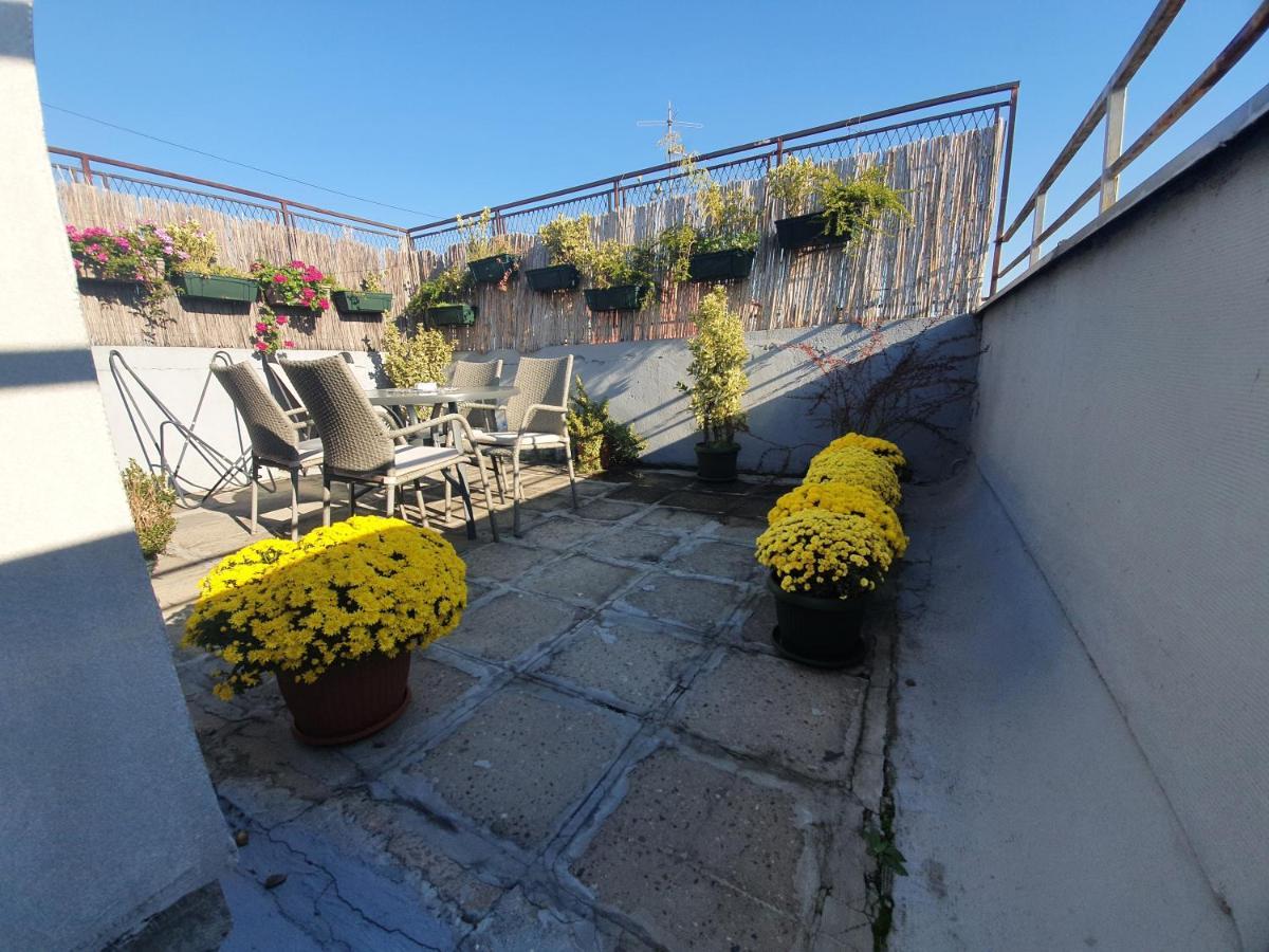 Apartment New Belgrade Home מראה חיצוני תמונה